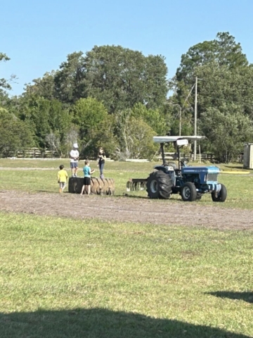 Nasgrass Lawnmower Racing Florida Flywheelers Avon Park Mower-Plex Ft. Meade Florida
